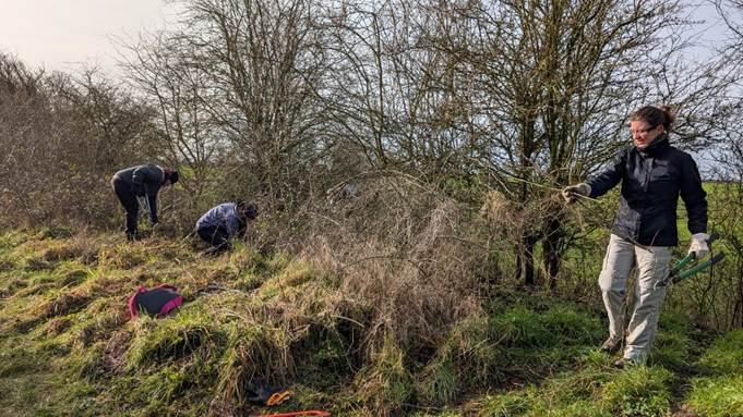 Three people working to clear vegetation