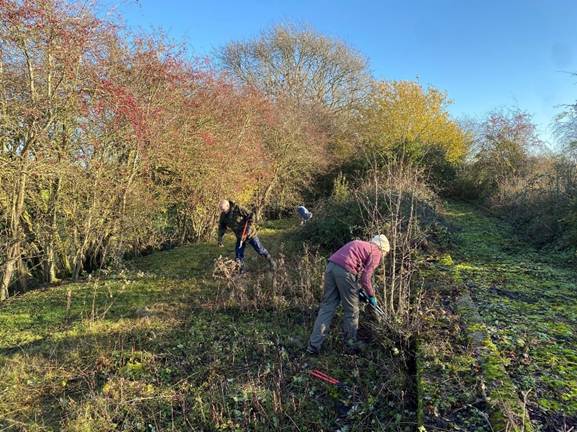 Two people working to clear vegetation