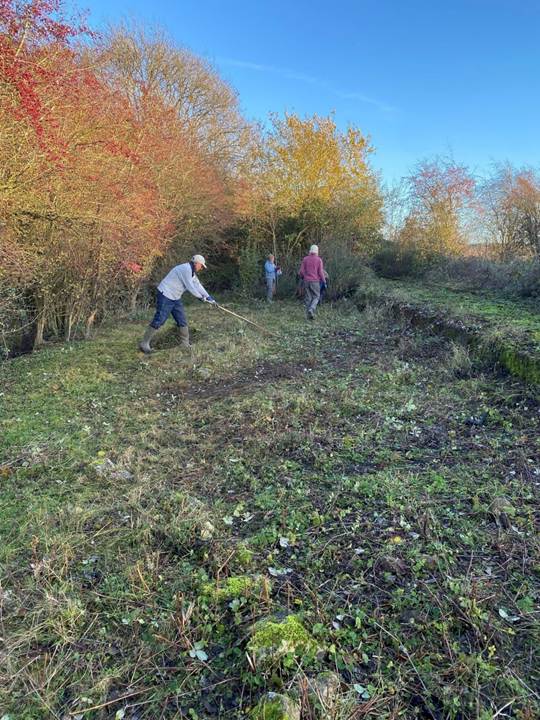 Three people working in an area which has been cleared of vegetation, leaving short grass and small plants