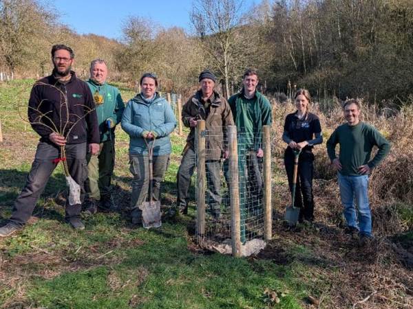 Nottinghamshire’s Native Black Poplars: Part&nbsp;2