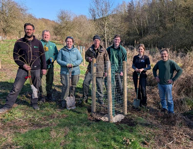 A group of seven people smiling behind a planted Black Poplar sapling outdoors at Vicar Water Country Park