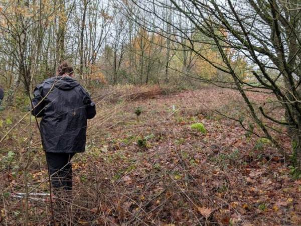 Restoring Biodiversity at Freckland Wood: A Day of&nbsp;Conservation