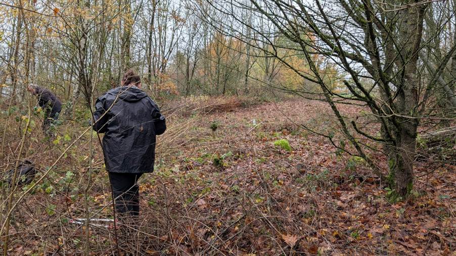 Restoring Biodiversity at Freckland Wood: A Day of Conservation