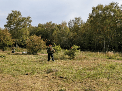 The Issue Explained: New Lount Meadow Management -Keeping it species&nbsp;rich